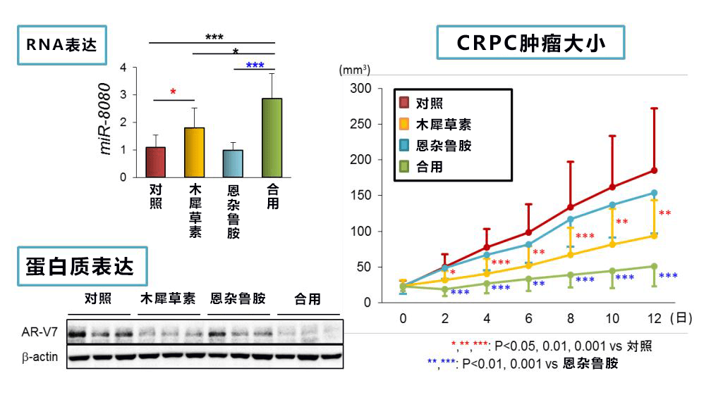 日本开发出兼备高活性和高耐久性的酯化用途固化催化剂