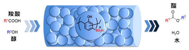 日本开发出兼备高活性和高耐久性的酯化用途固化催化剂