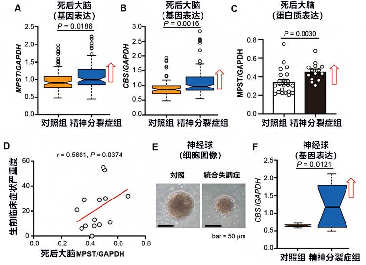 全球首次发现反铁磁拓扑绝缘体、有望加速发现未知基本粒子轴子