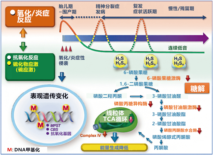 全球首次发现反铁磁拓扑绝缘体、有望加速发现未知基本粒子轴子