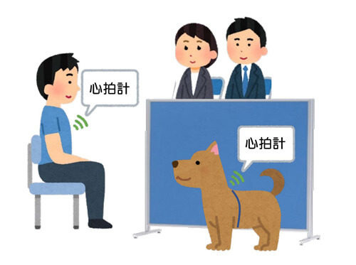 日本通过心率解析确认:犬可与人类共情,会回应主人短暂情绪变化
