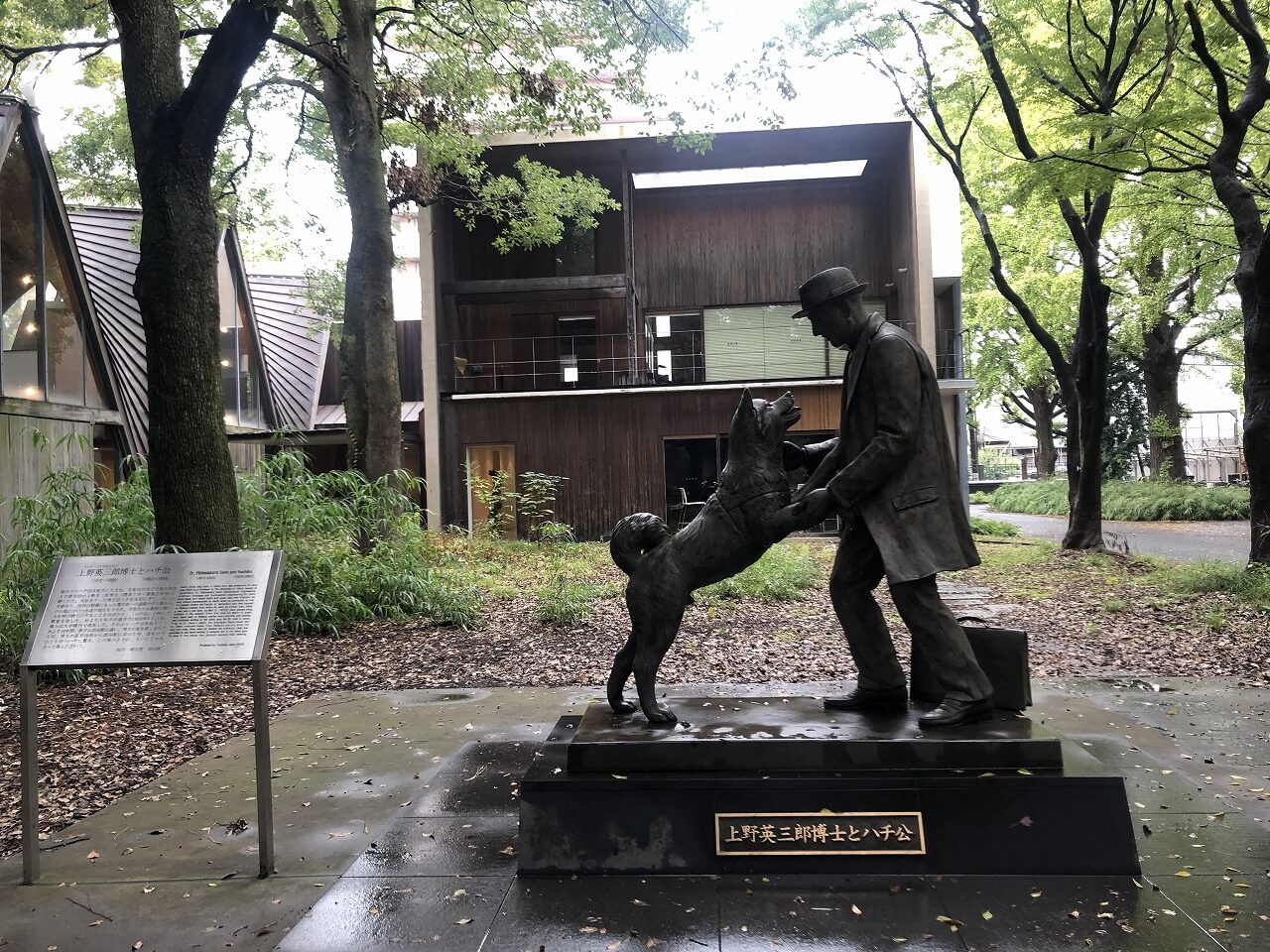 日本通过心率解析确认:犬可与人类共情,会回应主人短暂情绪变化