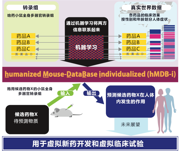 日本开发出预测药物副作用和功效的AI系统