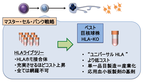 日本通过基因编辑成功制备“通用” iPS 细胞血小板