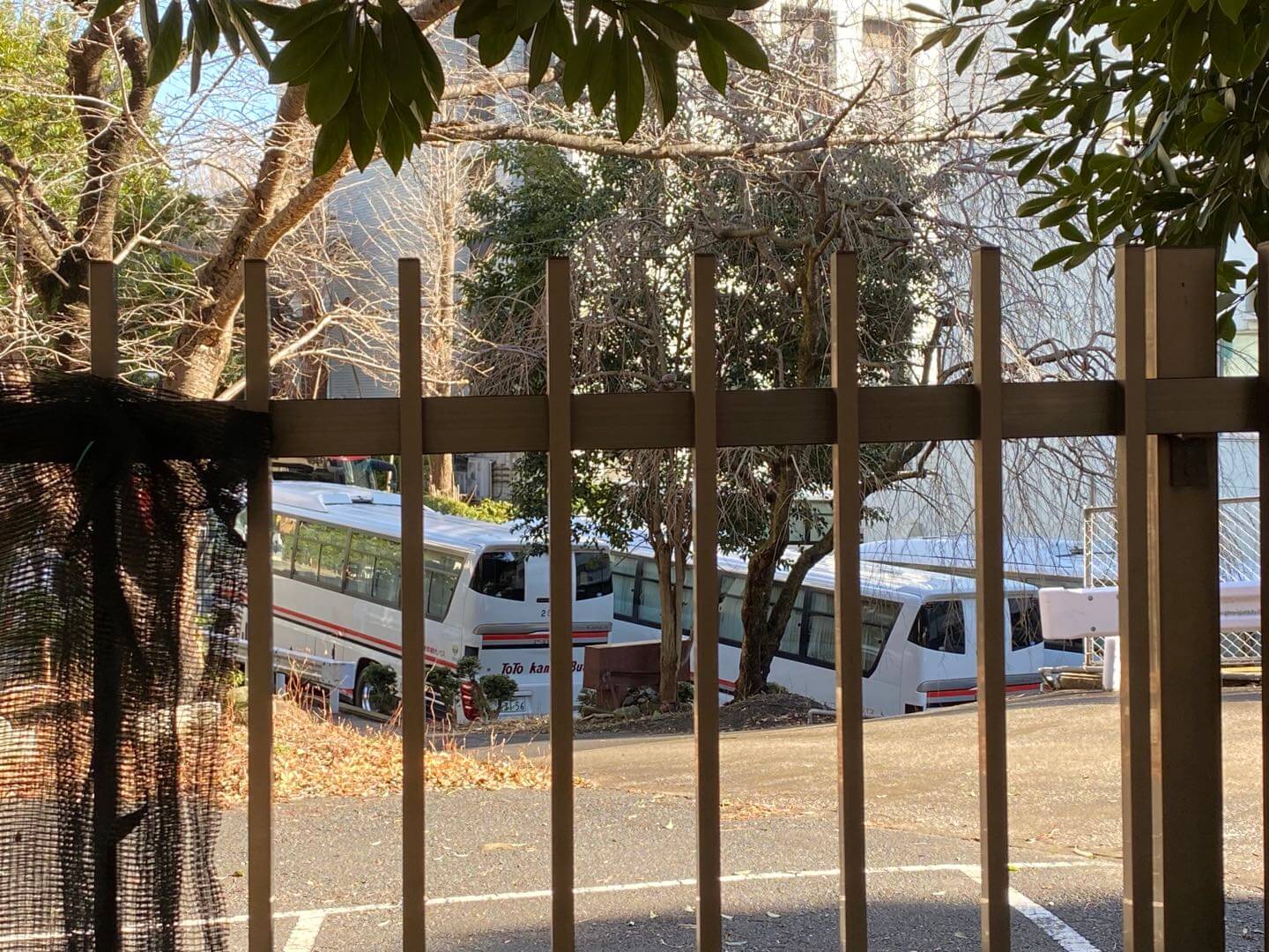 第一批包机回国的日本人当中确诊3人,2人为无症状感染者