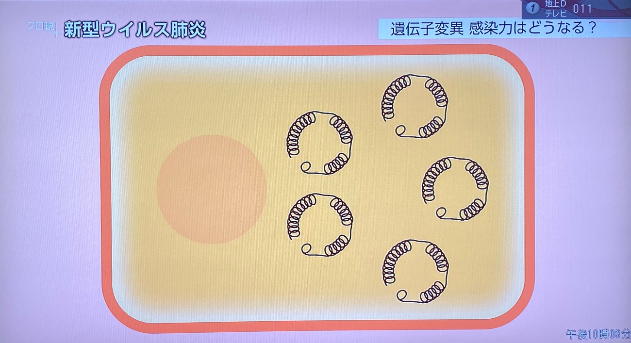 关于新型冠状病毒,科学家最担心的是什么?