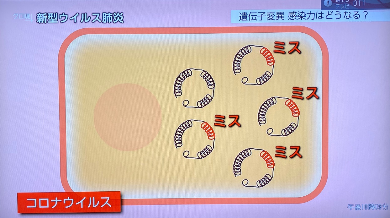 关于新型冠状病毒,科学家最担心的是什么?