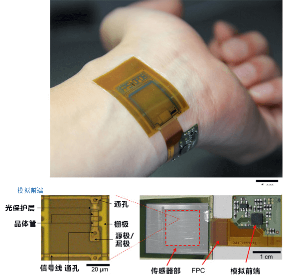 全球首次!日本成功用一枚片状图像传感器同时测量指纹、静脉图像和脉搏