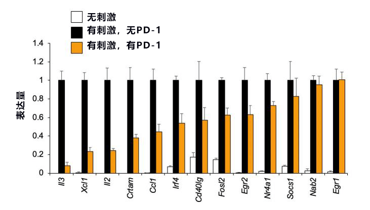 日本查清PD-1调控T细胞基因表达的机制