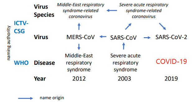 新型肺炎 病毒标准命名为SARS-CoV-2 病名为“COVID-19