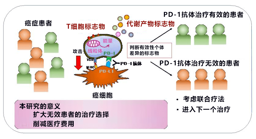 验血可知PD-1是否有效!日本确定血液中判断PD-1抗体癌症免疫治疗有效性的生物标志物