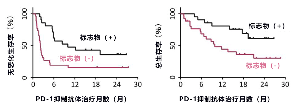 验血可知PD-1是否有效!日本确定血液中判断PD-1抗体癌症免疫治疗有效性的生物标志物