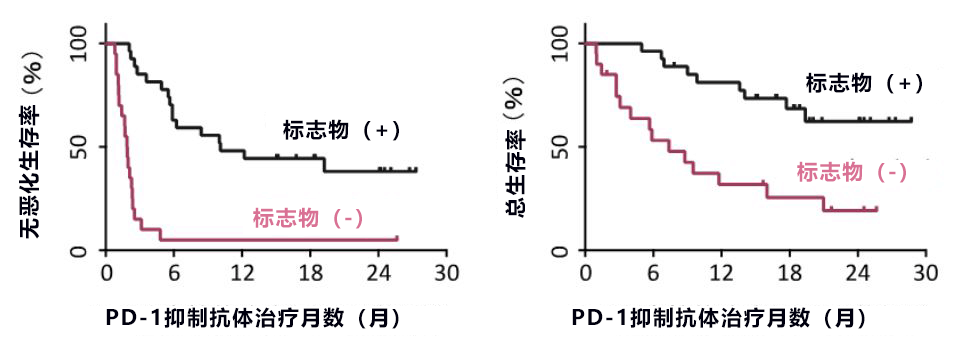 验血可知PD-1是否有效！日本确定血液中判断PD-1抗体癌症免疫治疗有效性的生物标志物