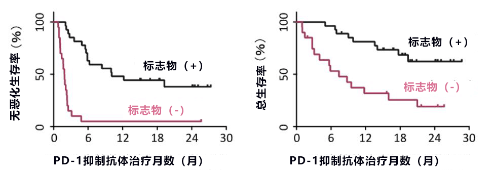 验血可知PD-1是否有效!日本确定血液中判断PD-1抗体癌症免疫治疗有效性的生物标志物