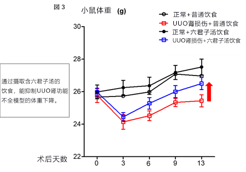 日本发现“六君子汤”能抑制慢性肾病引起的体重下降