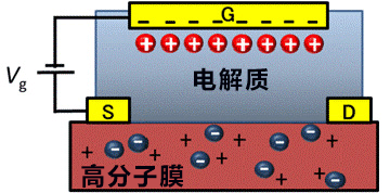 导电性高分子热电转换性能新发现，有望实现柔性IoT电源