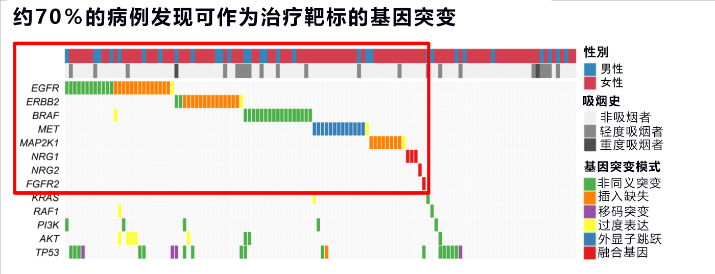 日本发现肺癌的新治疗靶标及术后预后的预测标志物