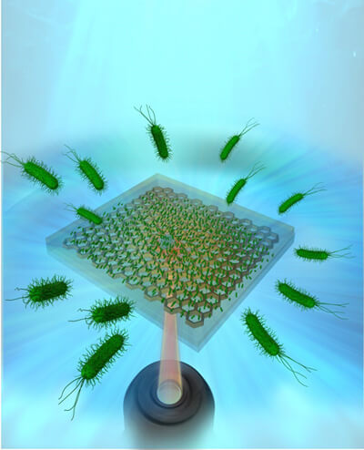 日本开发出利用光来高密度浓缩微生物活体的蜂窝基板