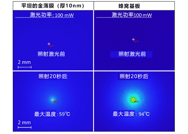 日本开发出利用光来高密度浓缩微生物活体的蜂窝基板