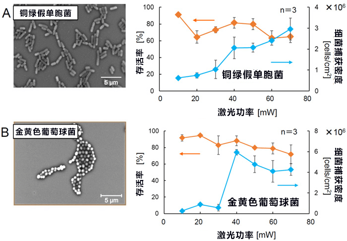 日本开发出利用光来高密度浓缩微生物活体的蜂窝基板