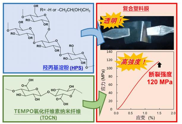 大阪大学用淀粉和纤维素开发出高强度高耐水性的海洋生物降解塑料