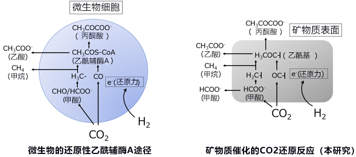 日德法团队发现生命起源的化学反应,仅用有机物就能简单合成无机物