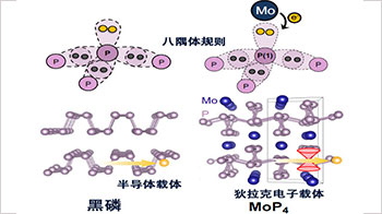 科學研究 - 大阪大學高壓合成源自黑磷的單晶和多晶化合物,有望提高新一代器件的功能 - 客觀日本