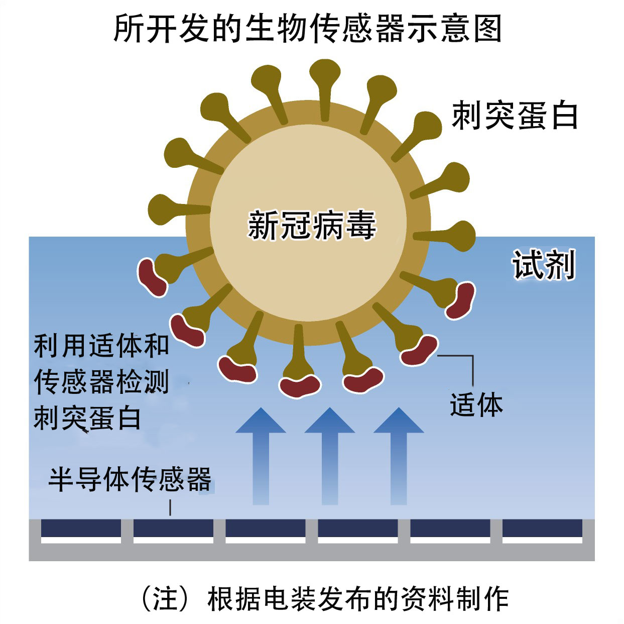 电装和东海大学等开发成功传感器 可用来评测新冠病毒的传染性 客观日本