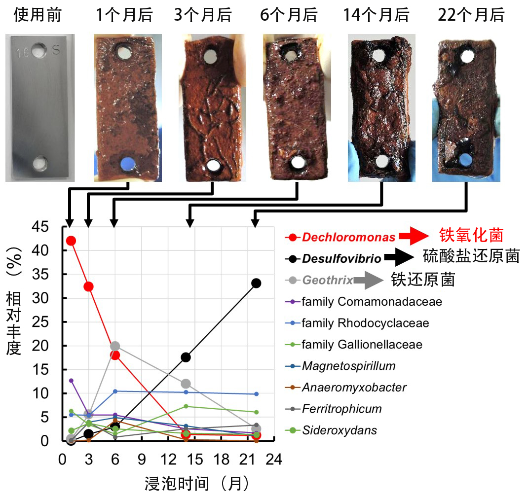 手癣之长期干燥型图片_有来医生