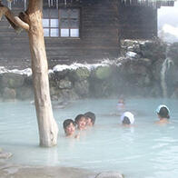 【日本知名温泉】（二）乳头温泉乡：隐匿在山毛榉森林里的“秘汤”，体验七种泉质
