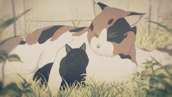 京都：为日本动画制作带来新气息《她与她的猫　-Everything Flows-》---2016年夏，重新演绎新海诚的原点《她与她的猫》