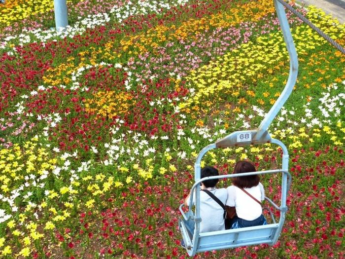 鲜花吊椅/图片来源：中部雪联有限公司