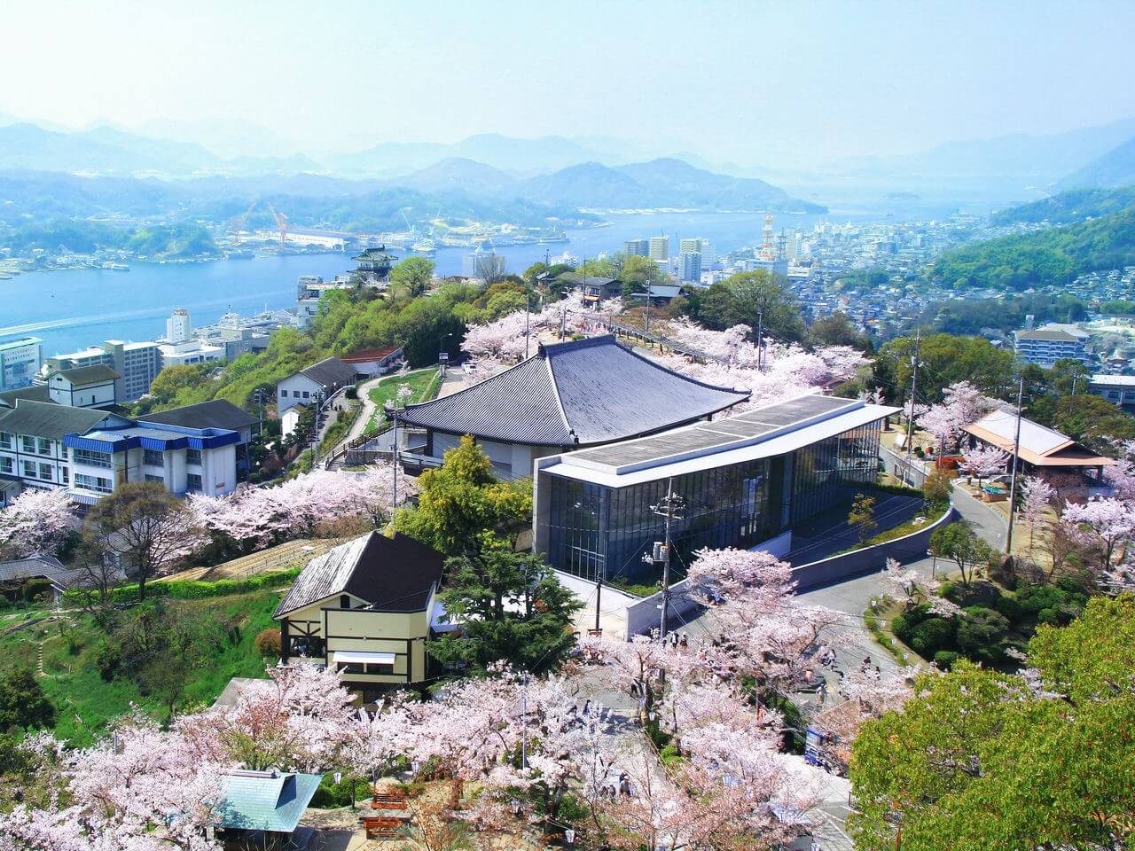 广岛县尾道市千光寺:山城的樱花和巨石名胜