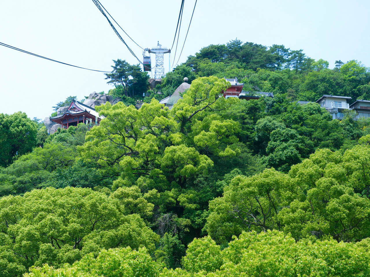 广岛县尾道市千光寺:山城的樱花和巨石名胜