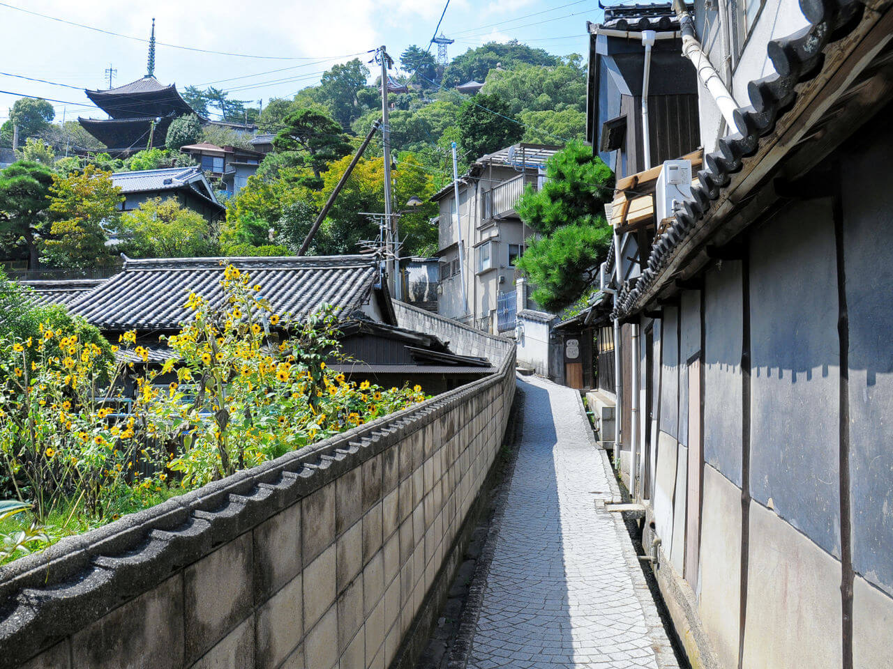 广岛县尾道市千光寺：山城的樱花和巨石名胜