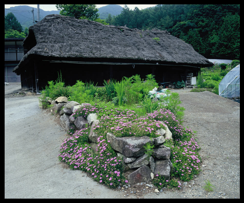 写真芦川 那山那田那人