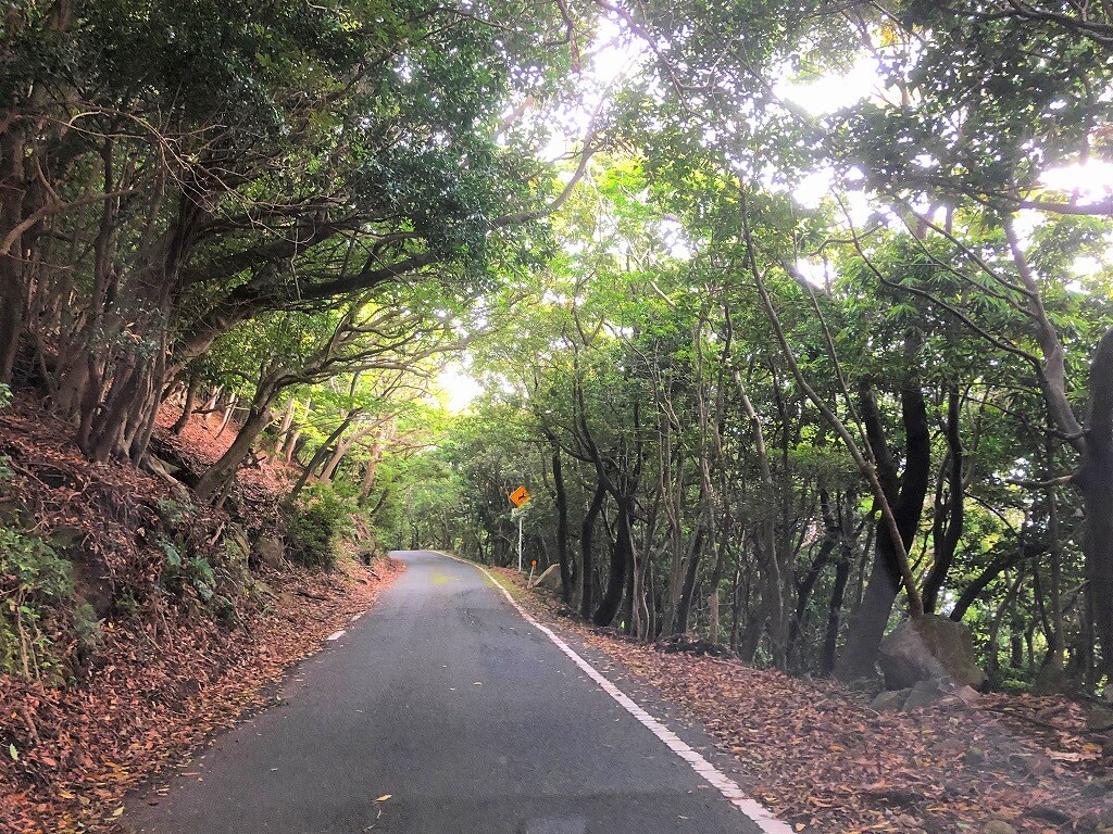 两天半玩遍屋久岛 飞进岛,先自驾环岛一周