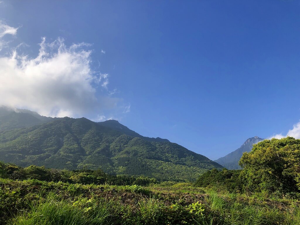 两天半玩遍屋久岛 飞进岛,先自驾环岛一周