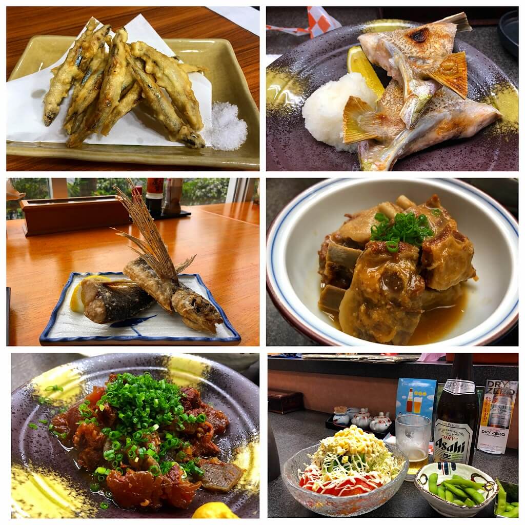 两天半玩遍屋久岛 飞进岛,先自驾环岛一周