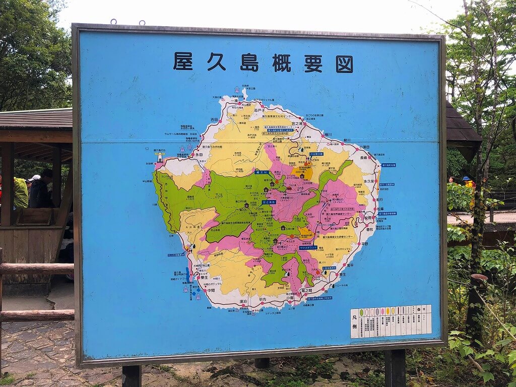 两天半玩遍屋久岛 飞进岛,先自驾环岛一周