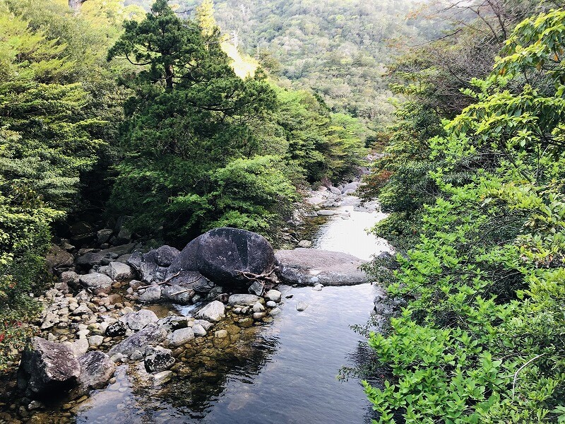 两天半玩遍屋久岛 探访自然遗产，感受大自然魅力