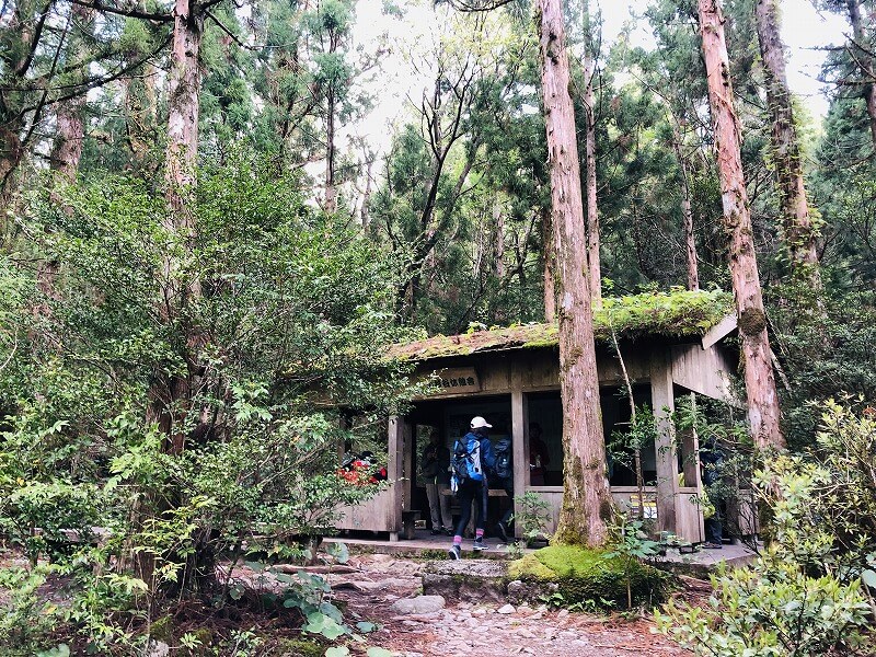 两天半玩遍屋久岛 探访自然遗产，感受大自然魅力