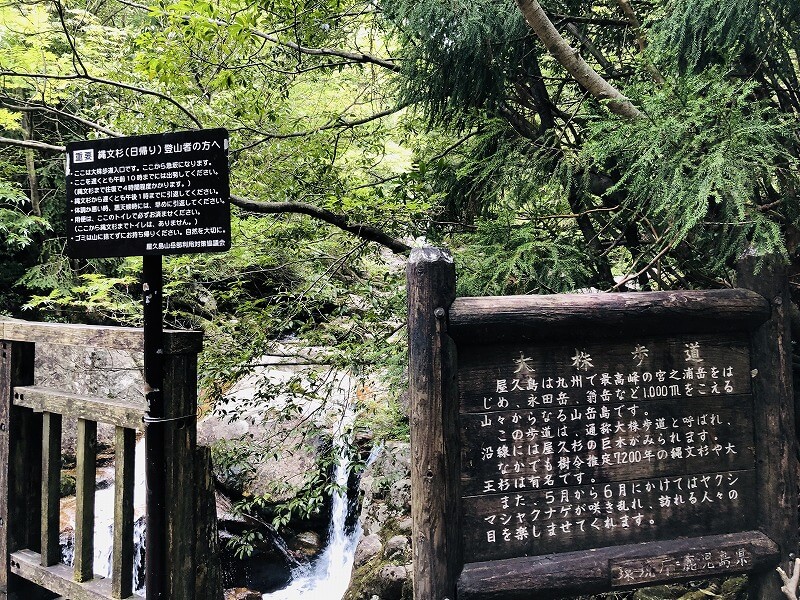两天半玩遍屋久岛 探访自然遗产,感受大自然魅力