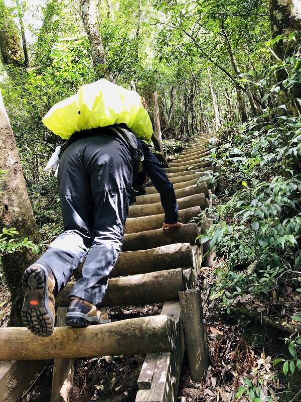 两天半玩遍屋久岛 探访自然遗产，感受大自然魅力