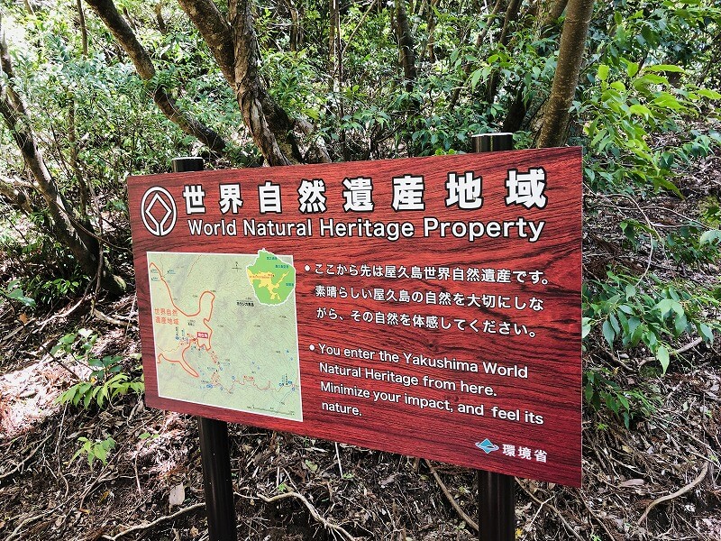 两天半玩遍屋久岛 探访自然遗产,感受大自然魅力