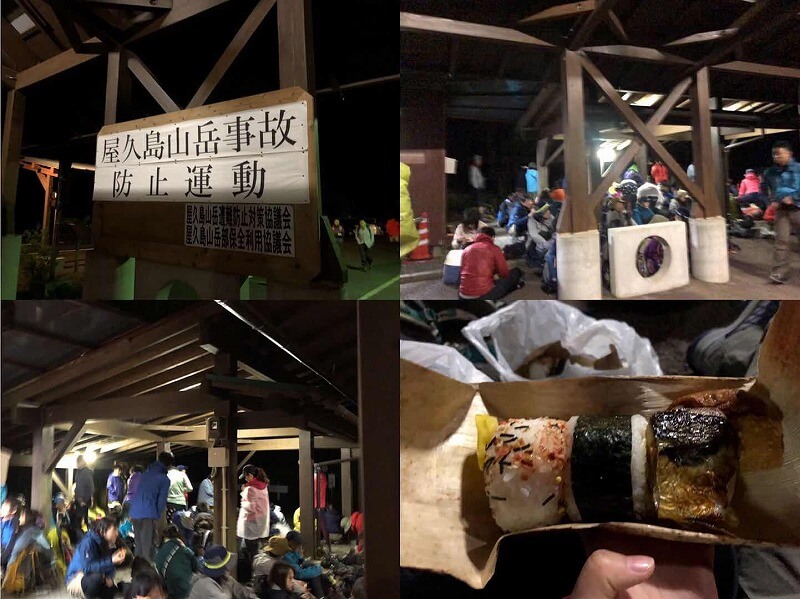 两天半玩遍屋久岛 探访自然遗产,感受大自然魅力
