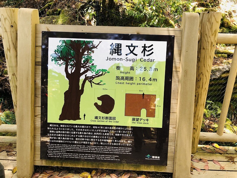 两天半玩遍屋久岛 探访自然遗产,感受大自然魅力