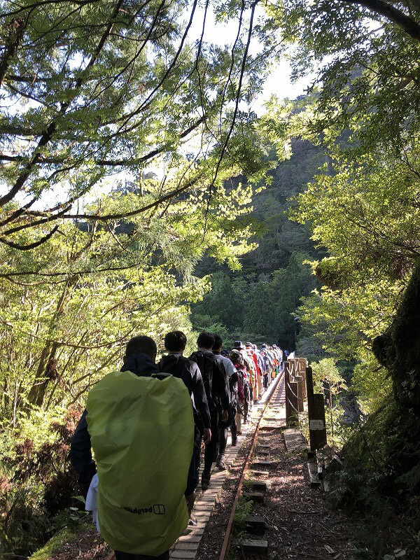 两天半玩遍屋久岛 探访自然遗产，感受大自然魅力