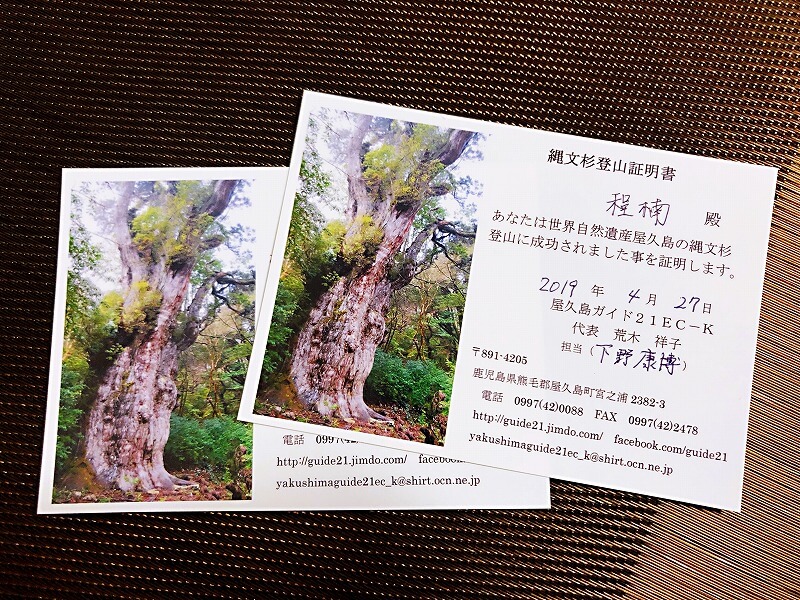 两天半玩遍屋久岛 探访自然遗产，感受大自然魅力