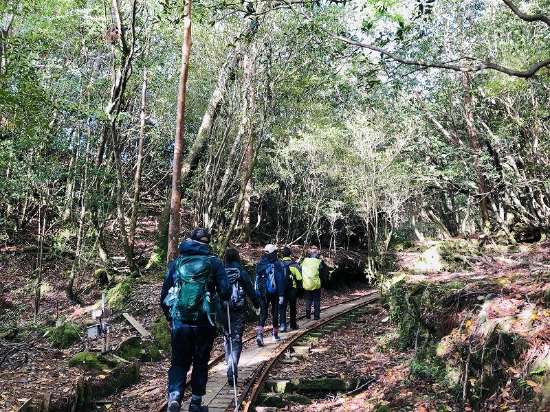 两天半玩遍屋久岛 探访自然遗产，感受大自然魅力